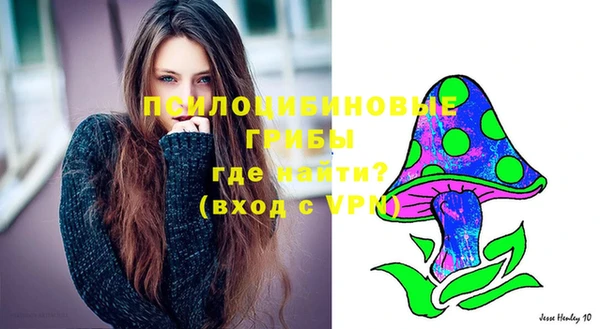 спиды Алексеевка